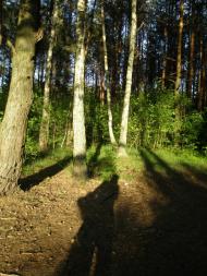 Зибин з panoramio.com