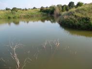 Полевое - Последние фото