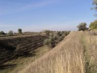 Сиротенки з panoramio.com