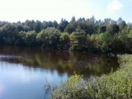 Мізяківська Слобідка з panoramio.com