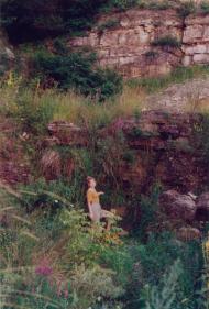 Ніверка з panoramio.com