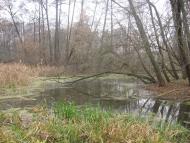 Барвінкове з panoramio.com