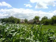 Комсомольське з panoramio.com