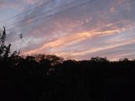 Хащеве з panoramio.com