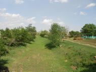 Музиківка з panoramio.com