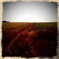 Мале з panoramio.com