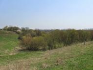 Єлизаветівка з panoramio.com