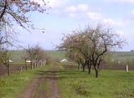 Ратуш з panoramio.com