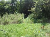 Лисогубівка з panoramio.com