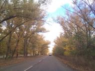 Новоєланчик з panoramio.com