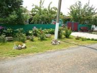 Полевое - Последние фото