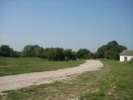 Поліське з panoramio.com