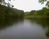 Піщанка з panoramio.com