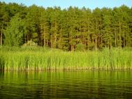 Гороховатка з panoramio.com