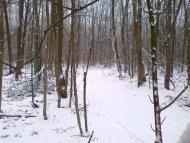 Мартове з panoramio.com