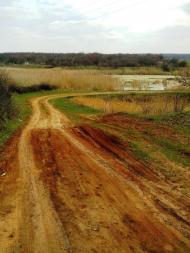 Лисичанський з panoramio.com