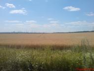 Тополівка - Останні фото