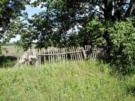 Єлизаветівка з panoramio.com