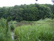 Піщатинці з panoramio.com