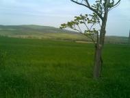 Задубрівка з panoramio.com