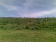 Кордон з panoramio.com