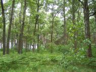 Оболоння з panoramio.com