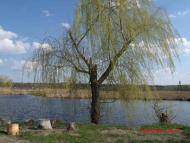 Абазівка з panoramio.com