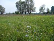 Перевіз з panoramio.com