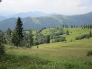 Шпетки з panoramio.com