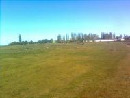 Серкізів з panoramio.com