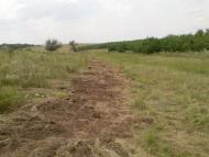 Красний Партизан з panoramio.com