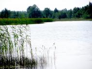 Луко з panoramio.com