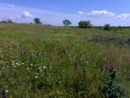 Вигода з panoramio.com