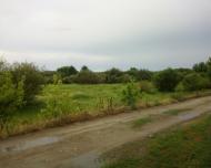 Вишевичі з panoramio.com