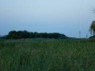 Козацьке з panoramio.com