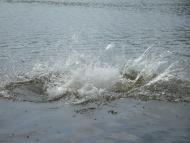 Широке - Останні фото