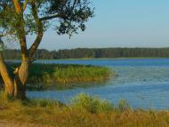 Котира з panoramio.com