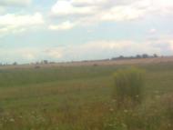 Маковичі з panoramio.com