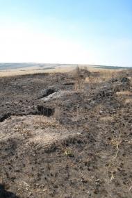 Іллірія з panoramio.com