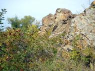 Преображенське з panoramio.com