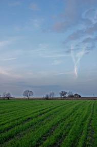 Лішня з panoramio.com