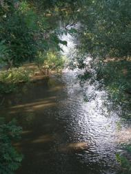 Журів з panoramio.com - Журов