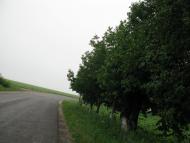 Ракова з panoramio.com