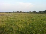 Рівнинне з panoramio.com