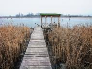 Товкачівка з panoramio.com