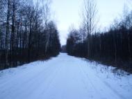 Радецька Болярка - Останні фото