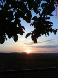 Петрівка - Останні фото