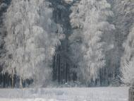 Романів з panoramio.com