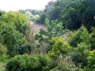 Анастасівка з panoramio.com