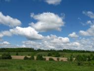 Анастасівка з panoramio.com